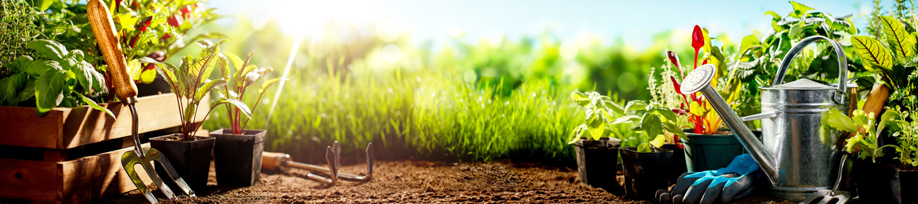Outils de jardinage