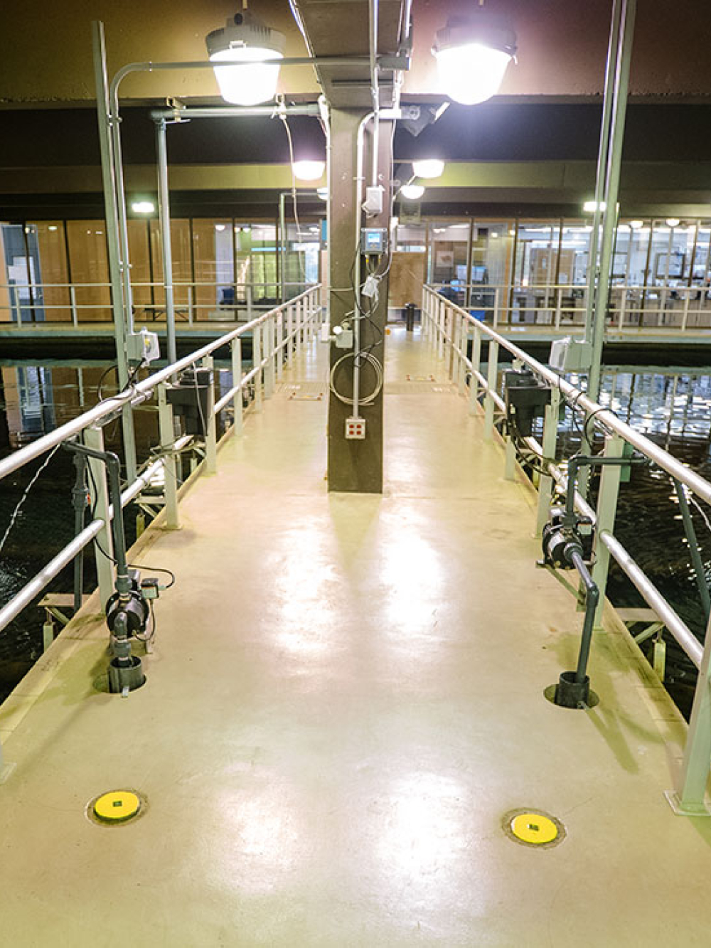 Passerelle centrale entourée de grands bassins d’eau dans un bâtiment industriel.