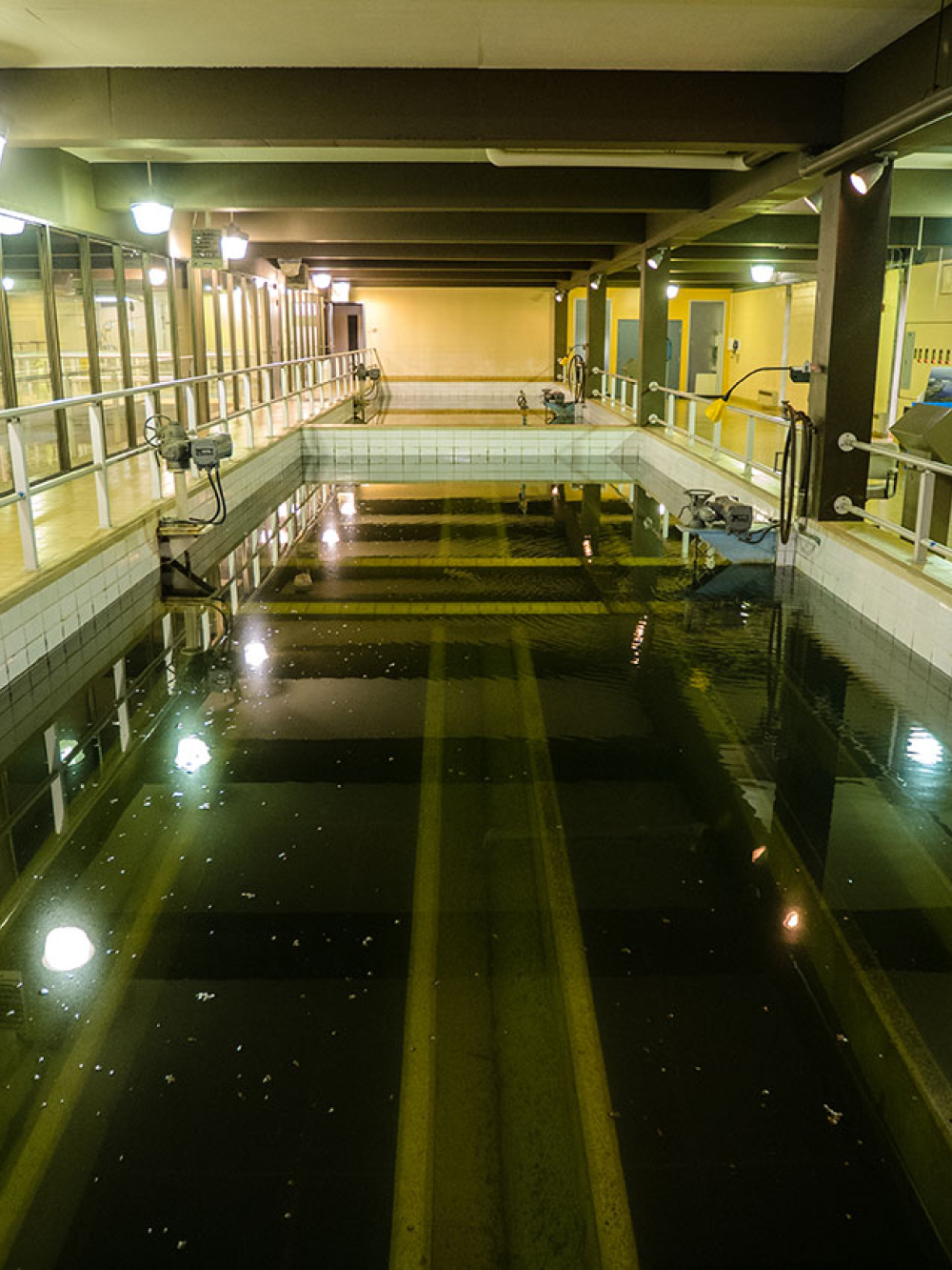 Salle avec bassins d’eau et passerelles en métal dans une installation de traitement.